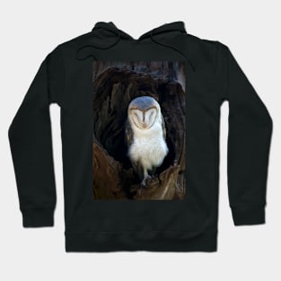 Sleeping Barn Owl Hoodie